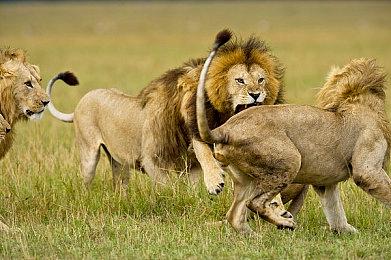 克苏鲁风格游戏《沉没之城》阔别近4年后重新上架Steam等平台