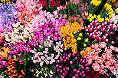 《博德之门3》发行总监认为游戏定价应该更高一些